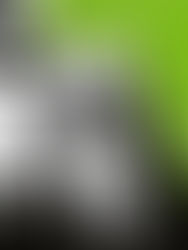 Sawmill Roots Orchestra / Roots Art OÜ