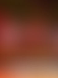 I kooride Eurovisioon Riias