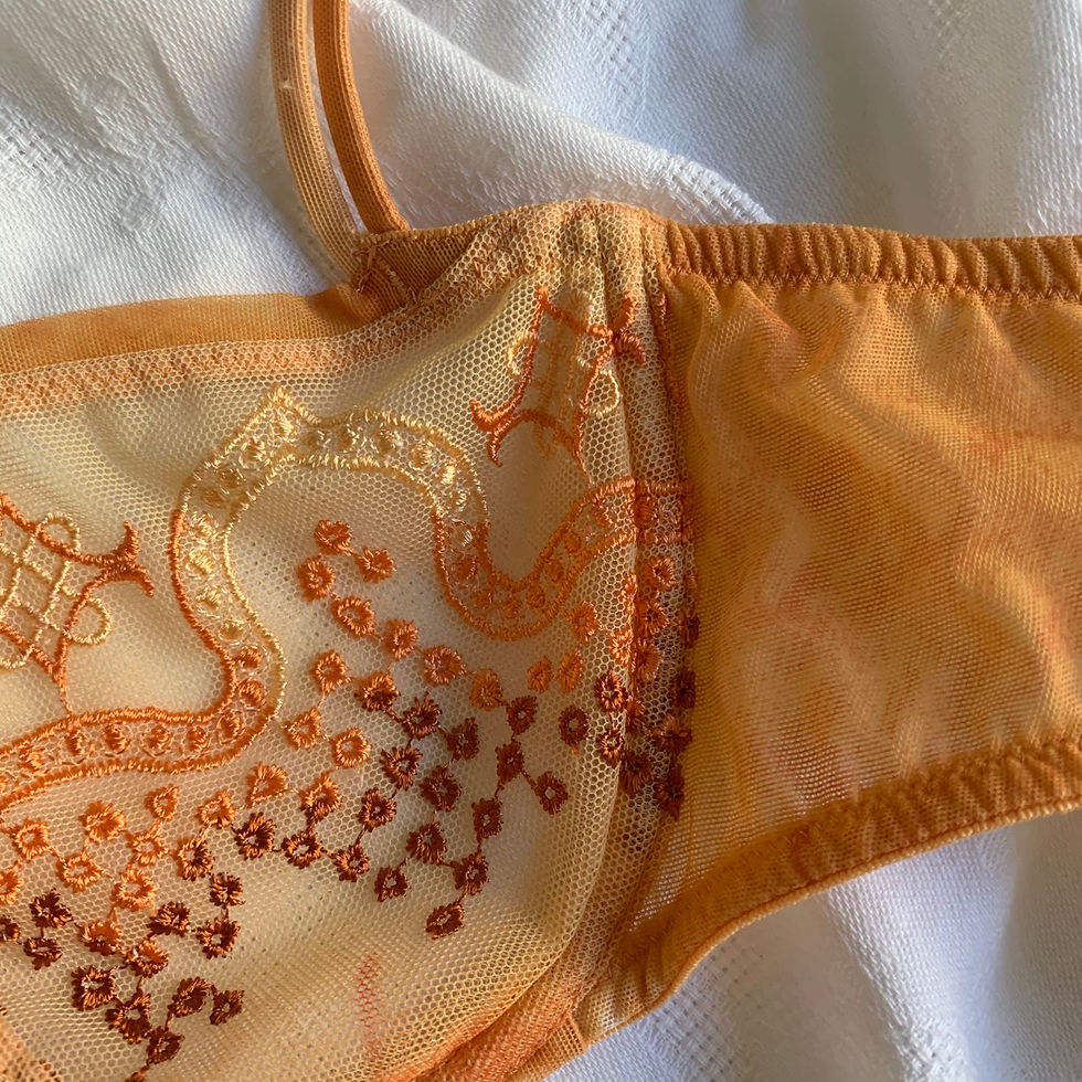 Thumbnail: Orange peach bra