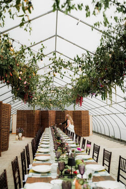 Novae Film and Photo