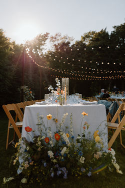 Julias Wildflowers Photography