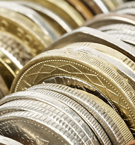 Variety of Coins
