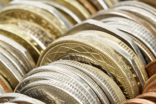 Variety of Coins