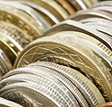 Variety of Coins