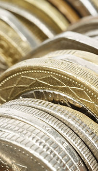 Variety of Coins