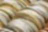 Variety of Coins