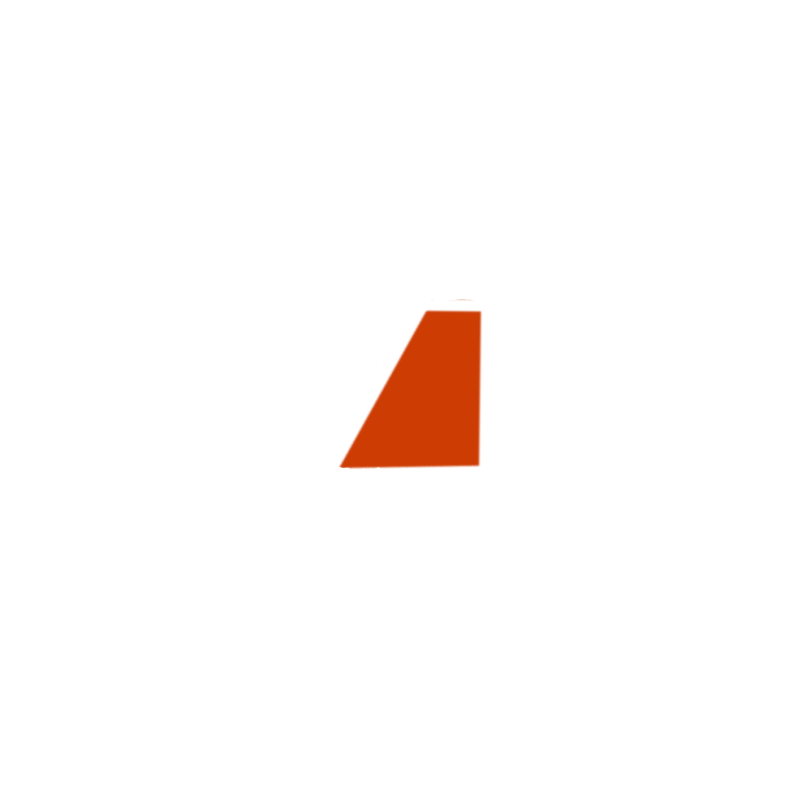 Logo BRAVE Circle .png