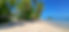 Plage Moorea Fun Dive