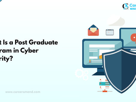 What Is a Post Graduate Program in Cyber Security? A Beginner’s Guide
