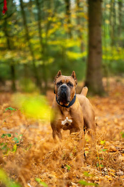 DSC02344-Verbessert-RR