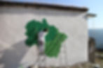 india1