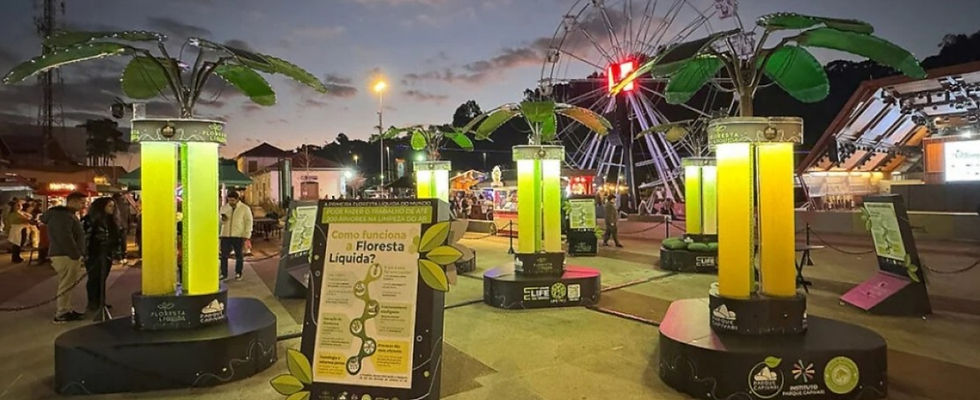 Parque Capivari é cliente QOCKPIT desde 2021