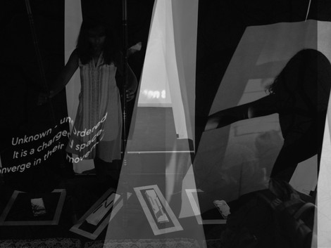 The Artist-Scholar Walks / Theatrical Cinematic Walk, Performative essay