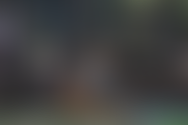 Buscan que UNESCO declare a Zoológicos como Patrimonio Cultural Intangible