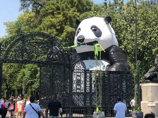 ¡Visita el Zoológico de Chapultepec!
