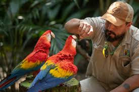 Talleres de Conservación