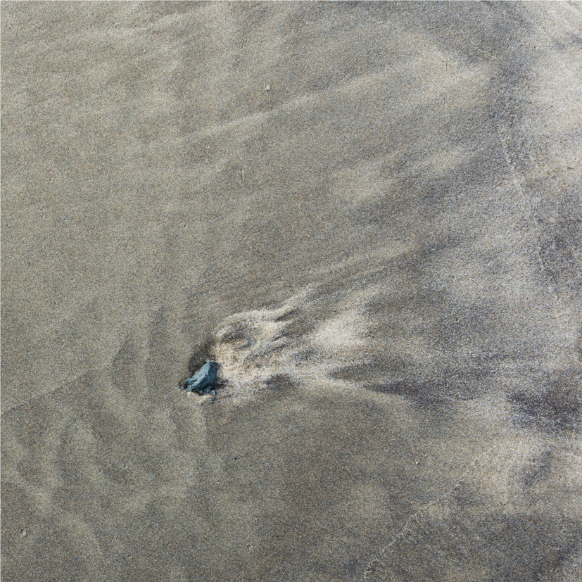 Abstraction - Carmen Legros Photographe
