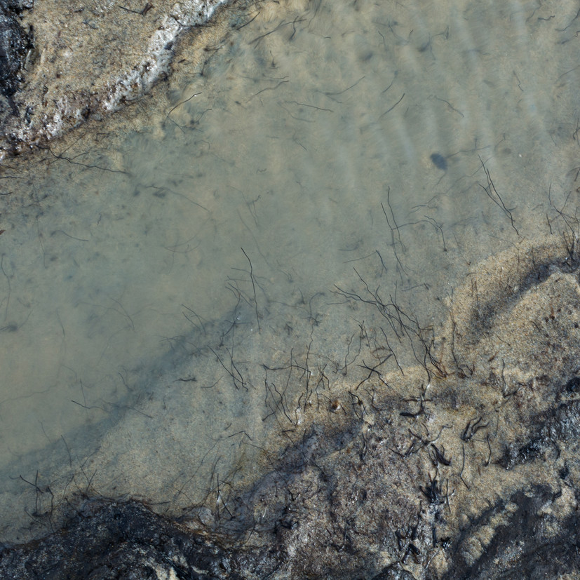 Abstraction - Carmen Legros Photographe