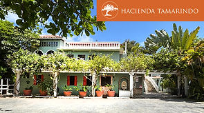 hacienda tamfor web.jpg