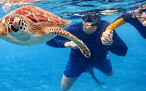 vieques snorkelfor web.png