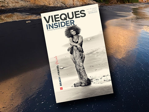 Home page cover25BeachTravel.jpg