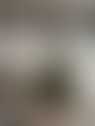 Does Mold Come Back After Remediation?