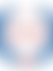 Service-Disabled Veteran-Owned Small Business (SDVOSB) Contracting: Requirements, Opportunities & Environmental Services