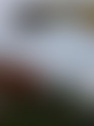 Oil Tank Insurance & Liability: Long Island Homeowner Guide 2025