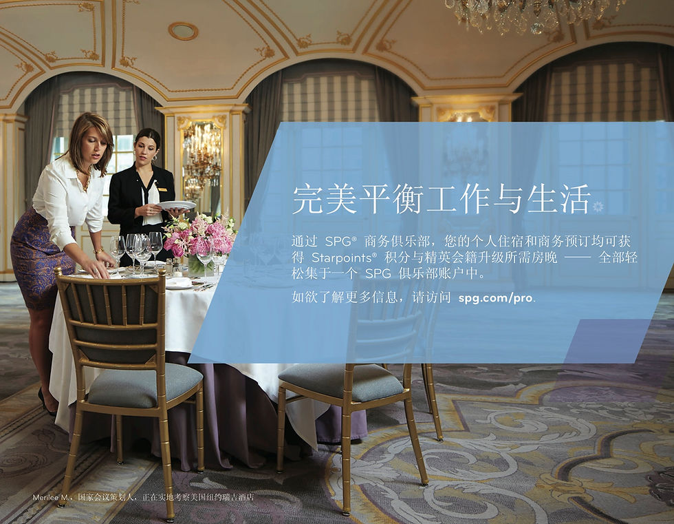 Thumbnail: SPG Pro Flash Drive - Chinese