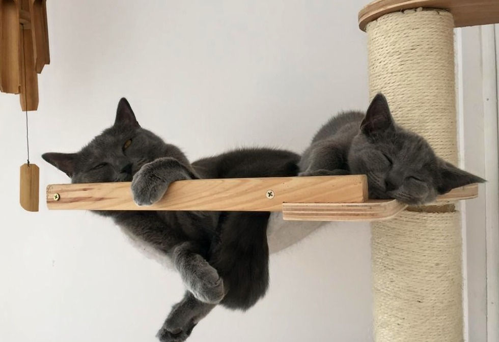 IMG-20190827-WA0004_edited.jpg