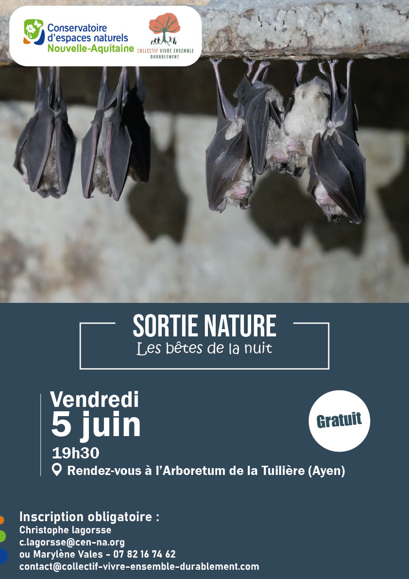 Soirée Chauve souris // vendredi 5 juin à 19 h 30 Ayen