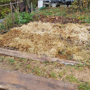 20201111_103843.jpg