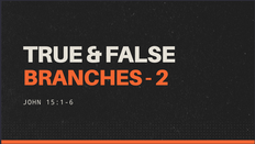 TRUE & FALSE BRANCHES 2 | John 15:1-6
