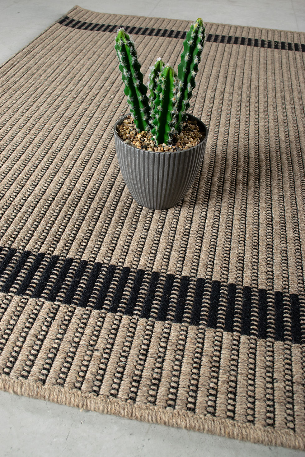 Miniatyrbilde: Trinidad Brun