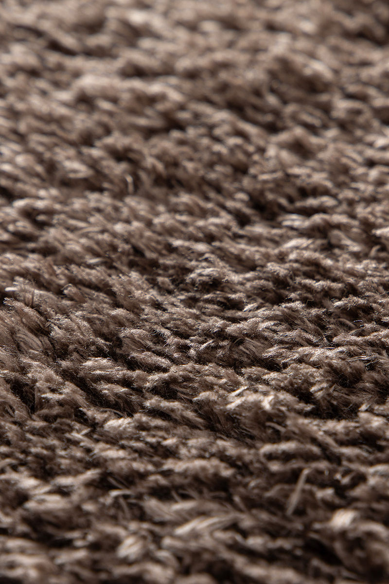 Miniatyrbilde: Polar Brun