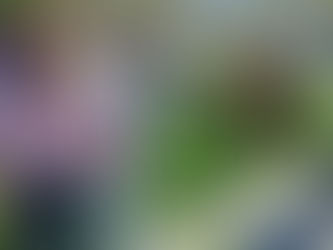 Φροντίζω το προαύλιο του σχολείου μου