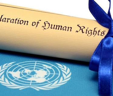 decl-human-rights.jpg