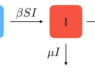 How Math Predicts Epidemics: The Story of the SIR Model