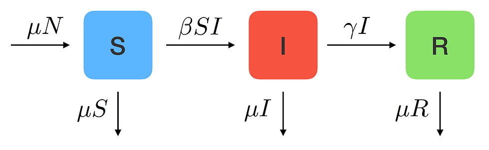 How Math Predicts Epidemics: The Story of the SIR Model