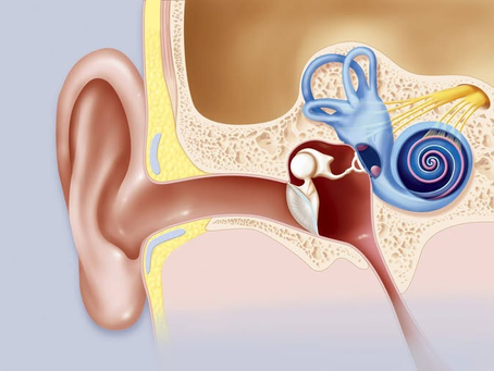 Hearing Loss Guide