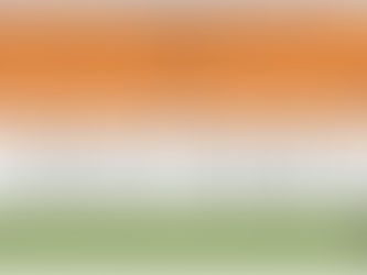 Indian Steel Growth is certain in 2024 