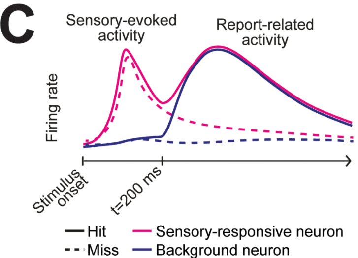 Takahashi et al.png