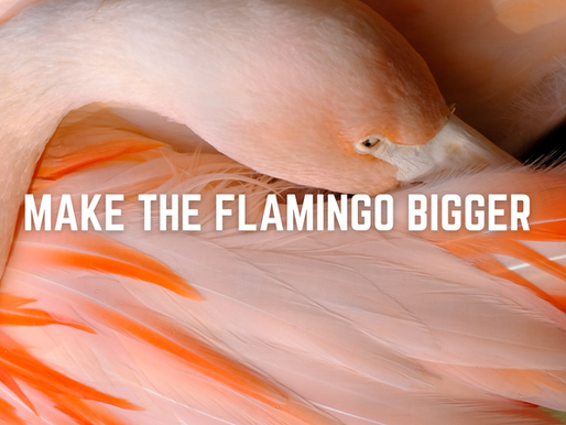 Make the flamingo bigger