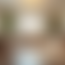 Senior Living Business Guide: Understanding Assisted Living Facility Businesses