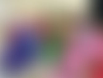 白梅フェスティバル