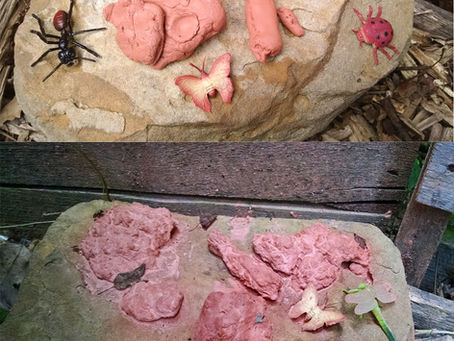 Observation Station Update