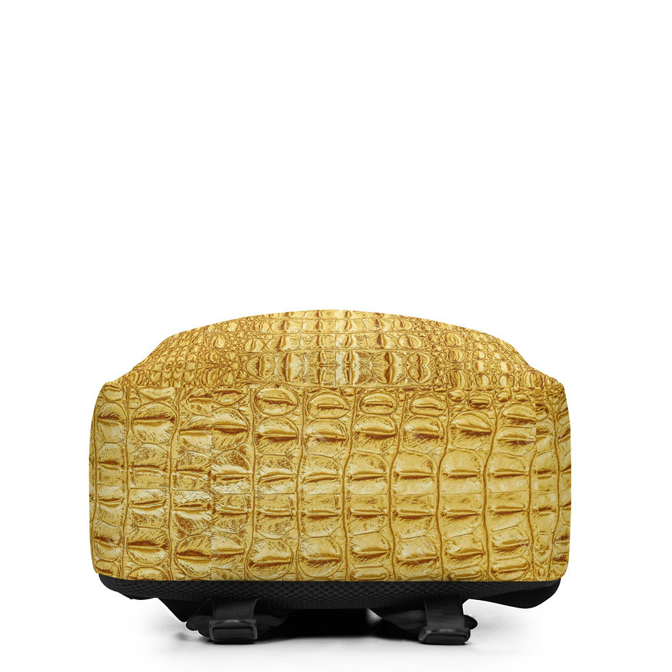 Thumbnail: Minimalist Backpack