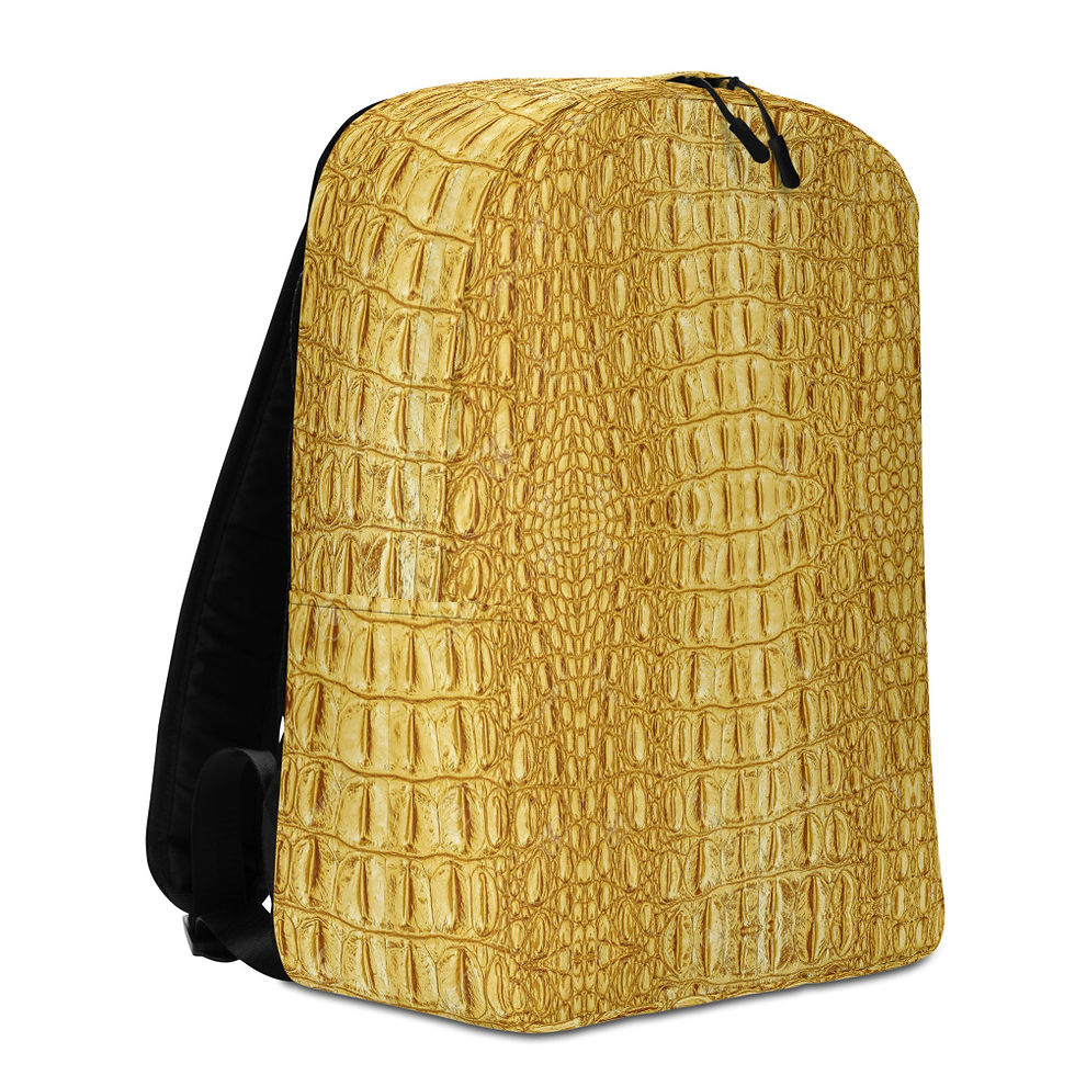Thumbnail: Minimalist Backpack