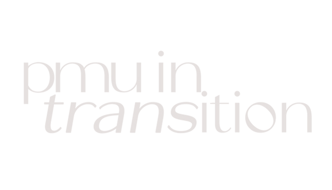 pmuintransitio3n copy.png