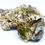 Thumbnail: Titanite Cluster